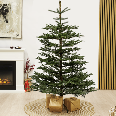 Nordic Winter - Kunstigt juletræ PE 200 x 158 cm, Luksus udgave