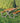 Hortus - Bord-/bænkesæt X-model teak nonwood og antracitstel, H: 72/44 x B: 151 x L: 176 cm