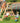 Jungle Gym - 2-Climb 200, Klatre og gyngemodul til legetårn