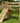 Jungle Gym - Bridge Modul 2.1 Jungle Gym