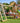 Jungle Gym - Legetårn Jungle Gym Cubby m/2-Climb Module 220, 120 kg sand og grøn rutschebane