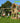 Jungle Gym - Legetårn Jungle Gym Club 2.1 m/2-Climb Module 220 ekskl. rutschebane
