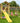 Jungle Gym - Legetårn Jungle Gym Sierra 2.1 m/2-Climb Module 220 og gul rutschebane