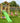 Jungle Gym - Legetårn Jungle Gym Sierra 2.1 m/2-Climb Module 220 og grøn rutschebane