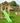 Jungle Gym - Legetårn Jungle Gym Sierra 2.1 m/2-Swing Module 220 og grøn rutschebane