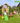 Jungle Gym - Legetårn Jungle Gym House 2.1 m/2-Climb Module 220 og grøn rutschebane