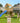 Jungle Gym - Legetårn Cabin 2.1 m/2-Swing Module 220, blå rutsjebane og 120 kg sand