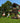 Jungle Gym - Legetårn Jungle Gym Club, grundmalet sort, w/2-Climb Module 220 og grøn rutschebane