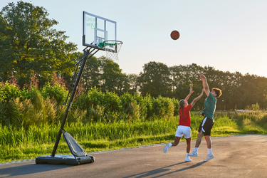 Salta - Guard basketball stander 138x(296-371)x240cm