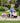 FALK - Birdy Farm Traktor med Trailer - Pink Pedaltrukket 1-3 år
