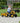FALK - Komatsu Frontlæsser med Trailer - Gul Pedaltrukket 2-5 år