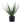 House Nordic - Aloe Vera H51 cm
