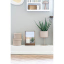 House Nordic - Aloe Vera H51 cm