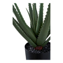 House Nordic - Aloe Vera H51 cm