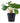 House Nordic - Pelia H28 cm