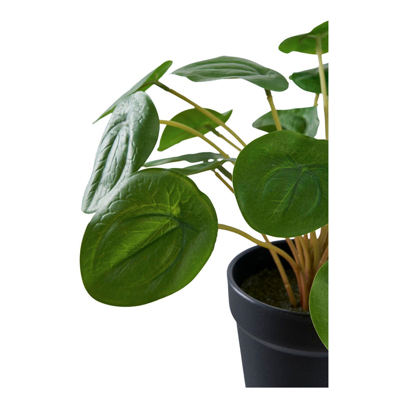 House Nordic - Pelia H28 cm
