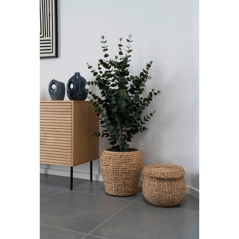 House Nordic - Eukalyptus Træ H120 cm