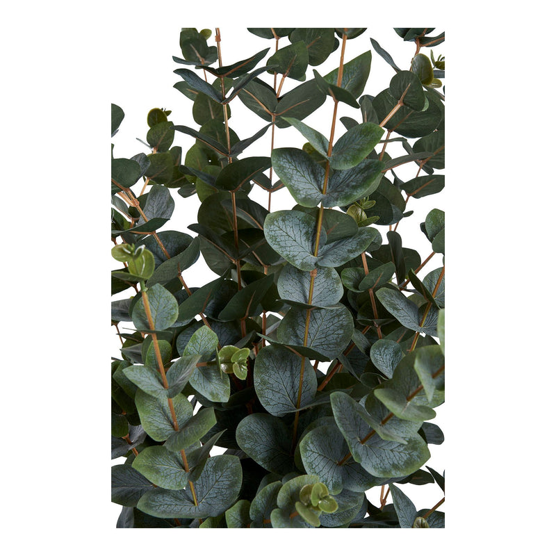 House Nordic - Eukalyptus Træ H120 cm