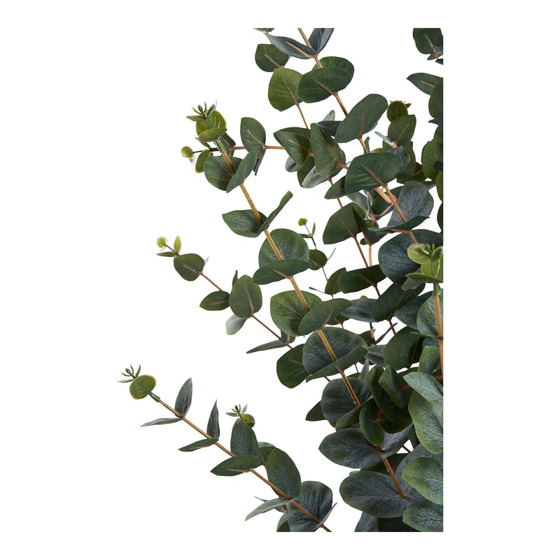 House Nordic - Eukalyptus Træ H120 cm
