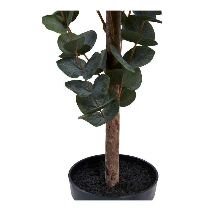 House Nordic - Eukalyptus Træ H120 cm