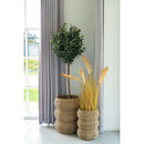 House Nordic - Sarbas Kurve, Søgræs, Sæt af 2 stk.