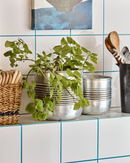 House Doctor - Plante, Groove, Antik sølvfinish 2 stk.