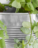 House Doctor - Plante, Groove, Antik sølvfinish 2 stk.