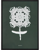 House Doctor Wall art Tale Mørkegrøn Hvid