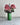 Vase, HDBuck, Grøn