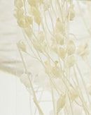 Diffuser, Vivid shades, 240 ml