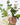 Artificial bouquet, HDWild cream, Multi