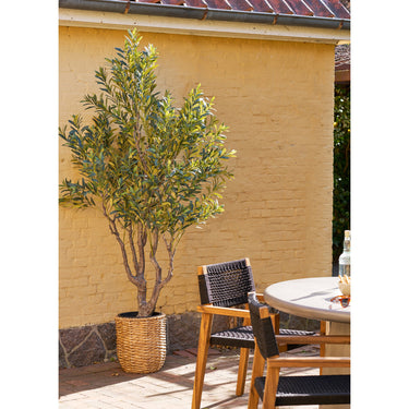 House Nordic - Kunstigt Oliventræ - Grøn H220 cm