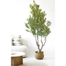 House Nordic - Kunstigt Oliventræ - Grøn H220 cm