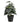 Plante fra House Nordic i grøn
