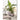 Græs Plante fra House Nordic i grøn - billede 4