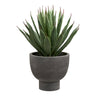 Agave Plante fra House Nordic i grå / Grøn