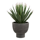 Agave Plante fra House Nordic i grå / Grøn