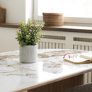 Succulent fra House Nordic i grå / Grøn – billede 3