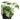 Monstera fra House Nordic i grøn – billede 2