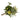 Green Spirit Buket fra House Nordic i mix