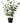 Ib Laursen - Kunstig Eukalyptus i Potte - 52 cm - Grøn