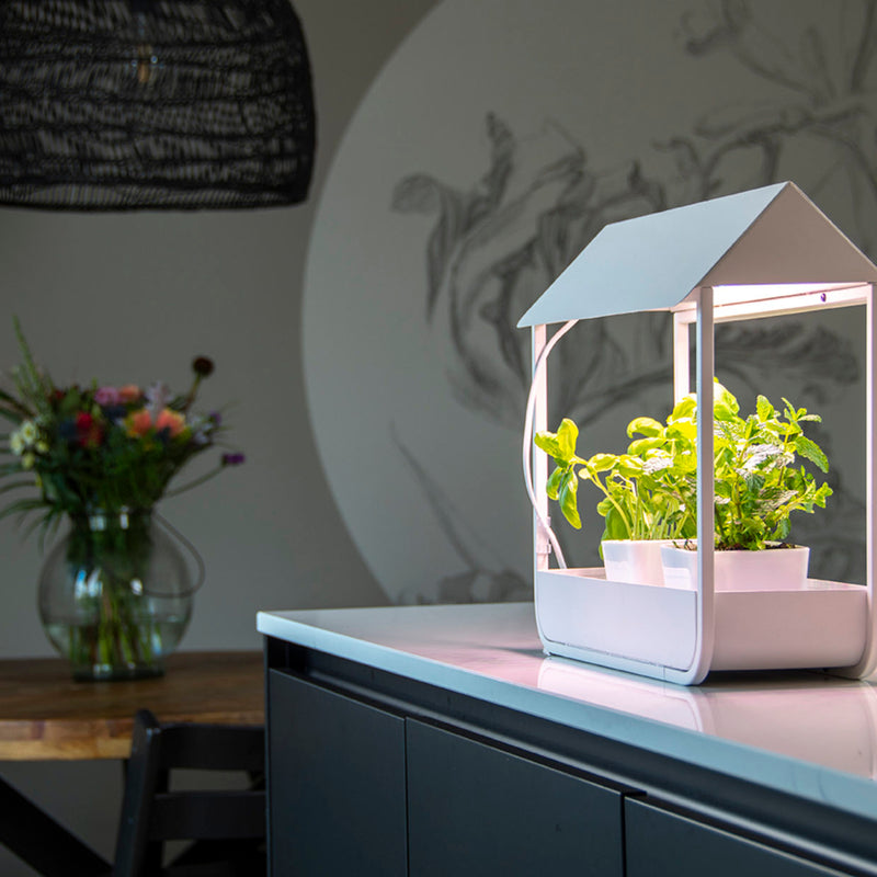Garden Life -  Mini væksthus m. LED belysning og autotimer, Hvid, 43 x 17 x 37 cm
