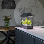 Garden Life -  Mini væksthus m. LED belysning og autotimer, Sort, 43x17x37cm