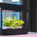 Garden Life -  Mini væksthus m. LED belysning og autotimer, Sort, 43x17x37cm