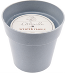 Citronellalys 1 stk. ass. farver, 2 størrelser