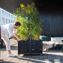 Squarely Copenhagen - GrowLARGE plantekasse 90x45 cm, Ask