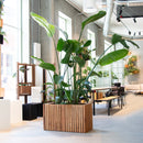 Squarely Copenhagen - GrowLARGE plantekasse 90x45 cm, Ask