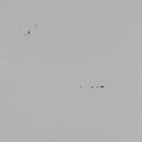 KLINK ADD-ON CABINET PINE MIST [fsc]