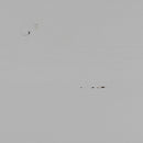 SHELVES ORGANIZE STORAGE CABINET 62CM PINE MIST [fsc]