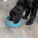 Trixie - Keramik Skål – 0,4 L eller 0,9 L, Blå